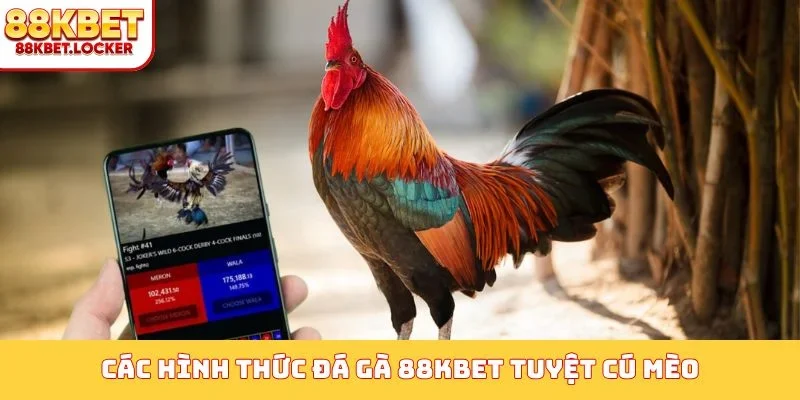 Các hình thức đá gà 88KBET tuyệt cú mèo